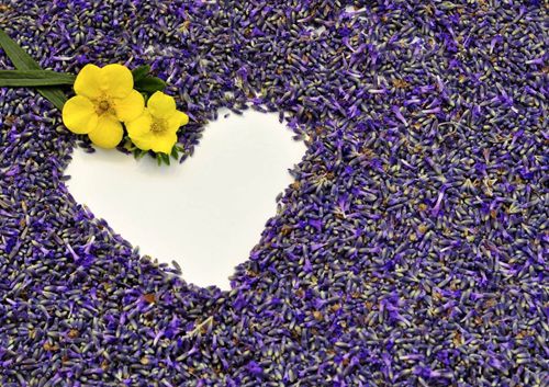 意式咖啡与美式咖啡：别再弄错了，一文带你认清它们的差异！