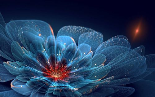 西达摩花魁咖啡豆名字来源！