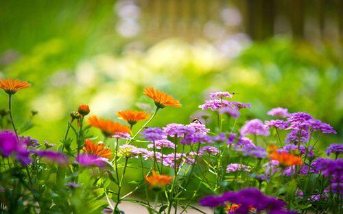 彩虹气泡冰美式